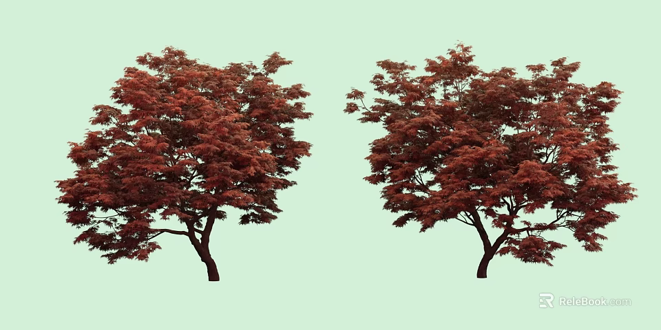 Two Red Leaf Arbor Trees With Vibrant Lush Foliage In Natural Garden 3d model 