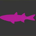 Fresh Silver And Brown Fish Isolated On Gray Background With Reflection