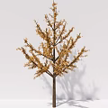 modern tree ginkgo tree arbor plant 3d model