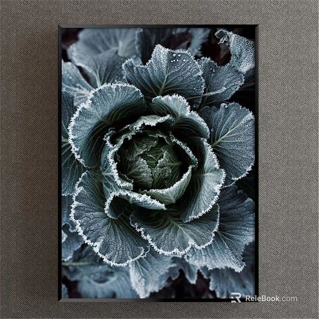 Botanical Painting of Frost Cabbage with Dark Green Leaves White Frosty Edges in Dark Frame 3d model 