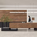 Modern Reception Desk With Brown Counter Feature Wall Green Plant And Hanging Lights