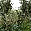 Modern Plant Heap 3d model