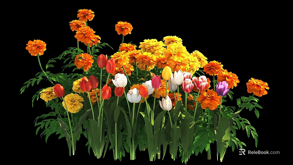 Colorful Blooming Marigolds And Tulips With Orange Yellow Red White Pink Petals And Green Leaves 3d model 