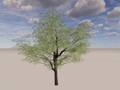 Tall Green Leafy Tree Standing On Light Ground Under Blue Sky With White Clouds 3d model