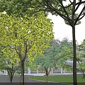 Modern Multi Storey Office Building With Large Glass Windows Surrounding Lawn And Parked Cars