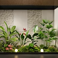 Lush Indoor Landscape with Monstera Palm Plants Stone Wall Backdrop and Floor Sphere Lights