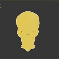 Medical Device Human Skull Model With Detailed Anatomical Structure For Medical Teaching And Training