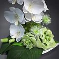 Stunning Blooming White Orchids And Green Plants Arrangement Against Gray Background