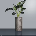 Potted Monstera Plant in Cylindrical Textured Gray Pot on Smooth Blue Tabletop with Light Wall