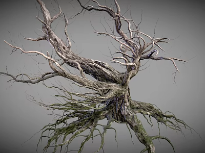 Withered Tree Trunk With Green Moss On Roots And Dry Branches Natural Look 3d model