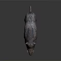 Wild Boar Sculpture With Rough Texture Open Mouth And Visible Teeth