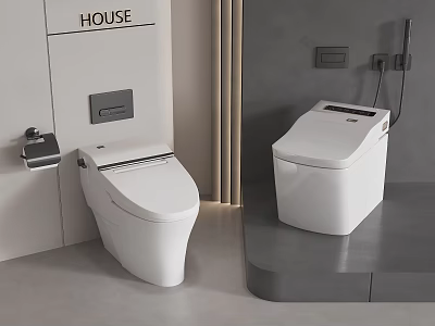 Modern Bathroom Toilets With Wall Mounted And Floor Standing Design In House 3d model