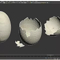 Textured Eggshells in Intact Partially Broken and Cracked States 3d model