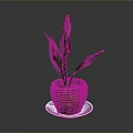 Green Plant With Long Leaves In Wicker Basket On Blue White Saucer Against Gray Background