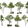 Diverse Landscape Trees with Various Heights Natural Stones and Green Grass 3d model