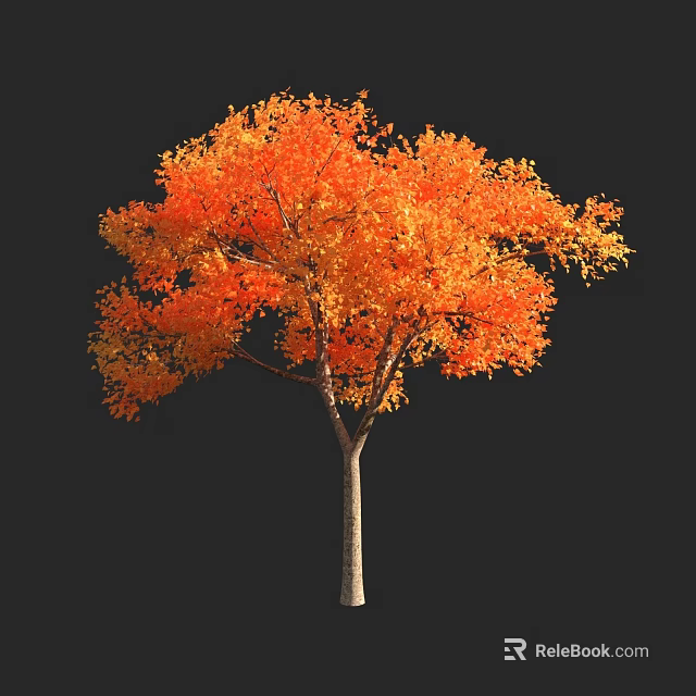 Stunning Autumn Arbor With Vibrant Orange Red Leaves And Slender Trunk On Black Background 3d model 