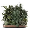 Garden Decorative Plant Arrangement With Various Green Plants In Wooden Planter