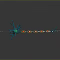 Chapter 7 Nerve tissue Nerve arch 3d model