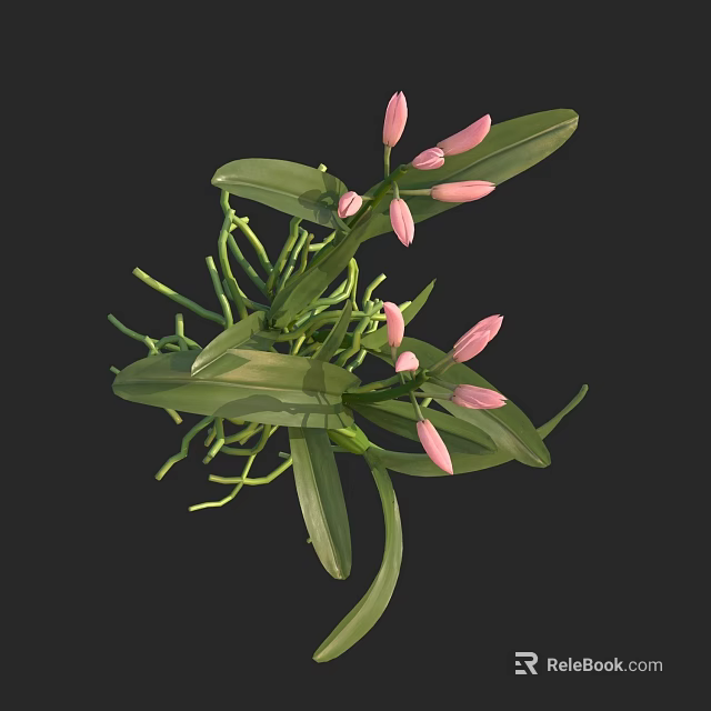 Elegant Pink Flower Buds With Green Leaves Long Stems And Natural Vines 3d model 