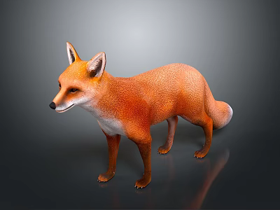Red Fox with Orange Fur and White Chest Standing on Smooth Surface 3d model