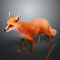 Red Fox with Orange Fur and White Chest Standing on Smooth Surface 3d model