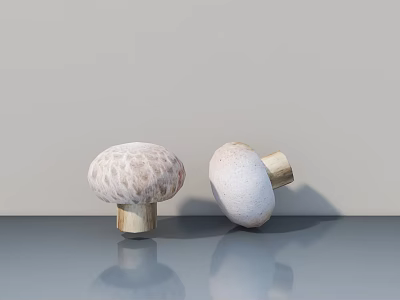 Artistic Mushroom Sculptures With Standing And Tilted Designs On Reflective Surface 3d model