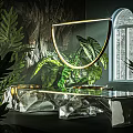 Indoor Dark Background Scene With Green Plants Golden Ring Light Glass Tabletop And Arched Window