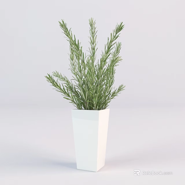 Thriving Bonsai Potted Plant in White Square Planter with Green Herb Foliage 3d model 