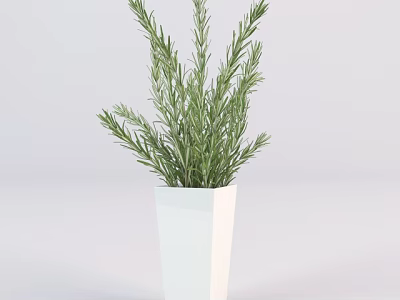 Thriving Bonsai Potted Plant in White Square Planter with Green Herb Foliage 3d model