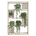 Indoor Garden Decor With Wooden Shelf And Multiple Hanging Green Potted Plants