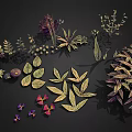 Various Plant Leaves Flowers And Small Fruits Illustration On Black Background