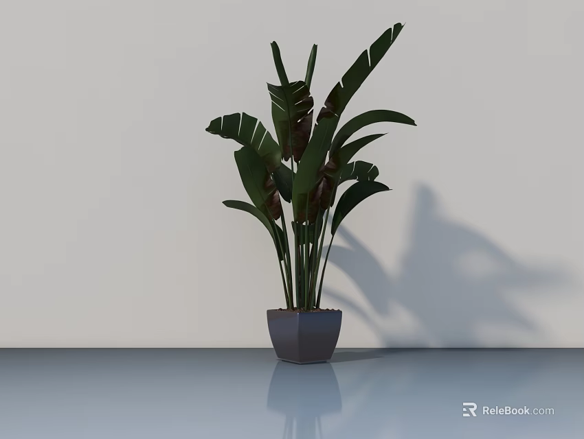 Potted Plant With Large Green Leaves In Gray Pot On Smooth Floor Against White Wall 3d model 