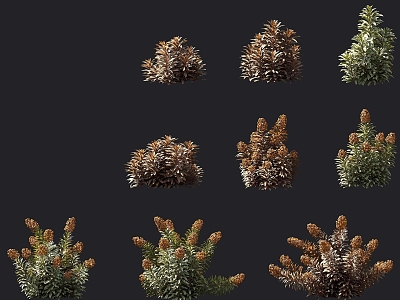 Garden Shrubs Flowers and Plants Tree Pond Cluster Ornaments Garden Landscape Sketches Hedgerow Plants model