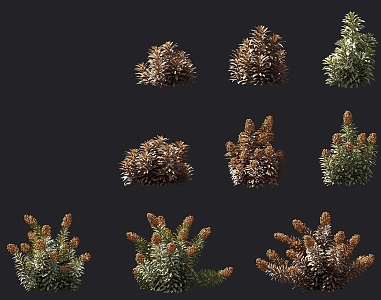 Garden Shrubs Flowers and Plants Tree Pond Cluster Ornaments Garden Landscape Sketches Hedgerow Plants 3d model