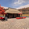 Traditional Japanese Tea House With Thatched Roof Red Tables Umbrella And Maple Trees