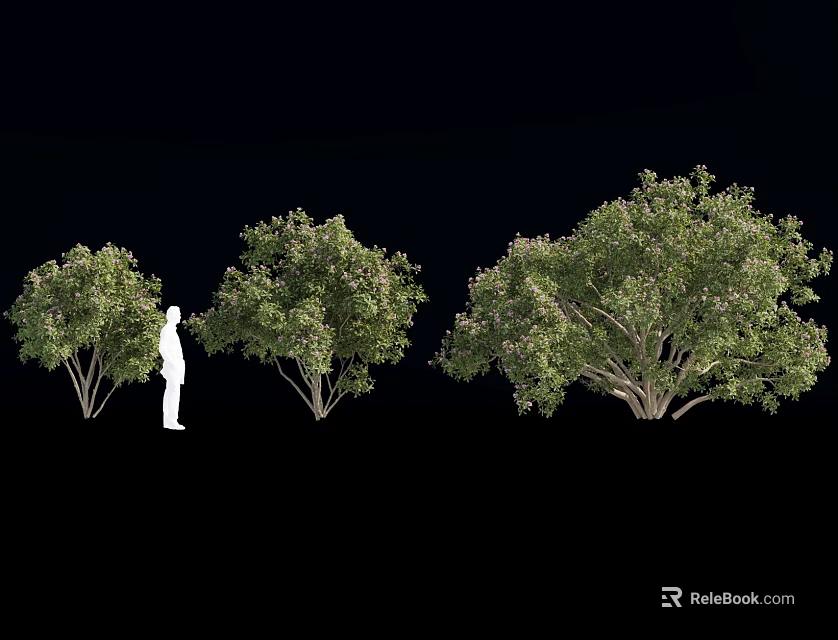 Three Lush Green Shrubs With Dense Foliage And Human Figure For Size Comparison 3d model 