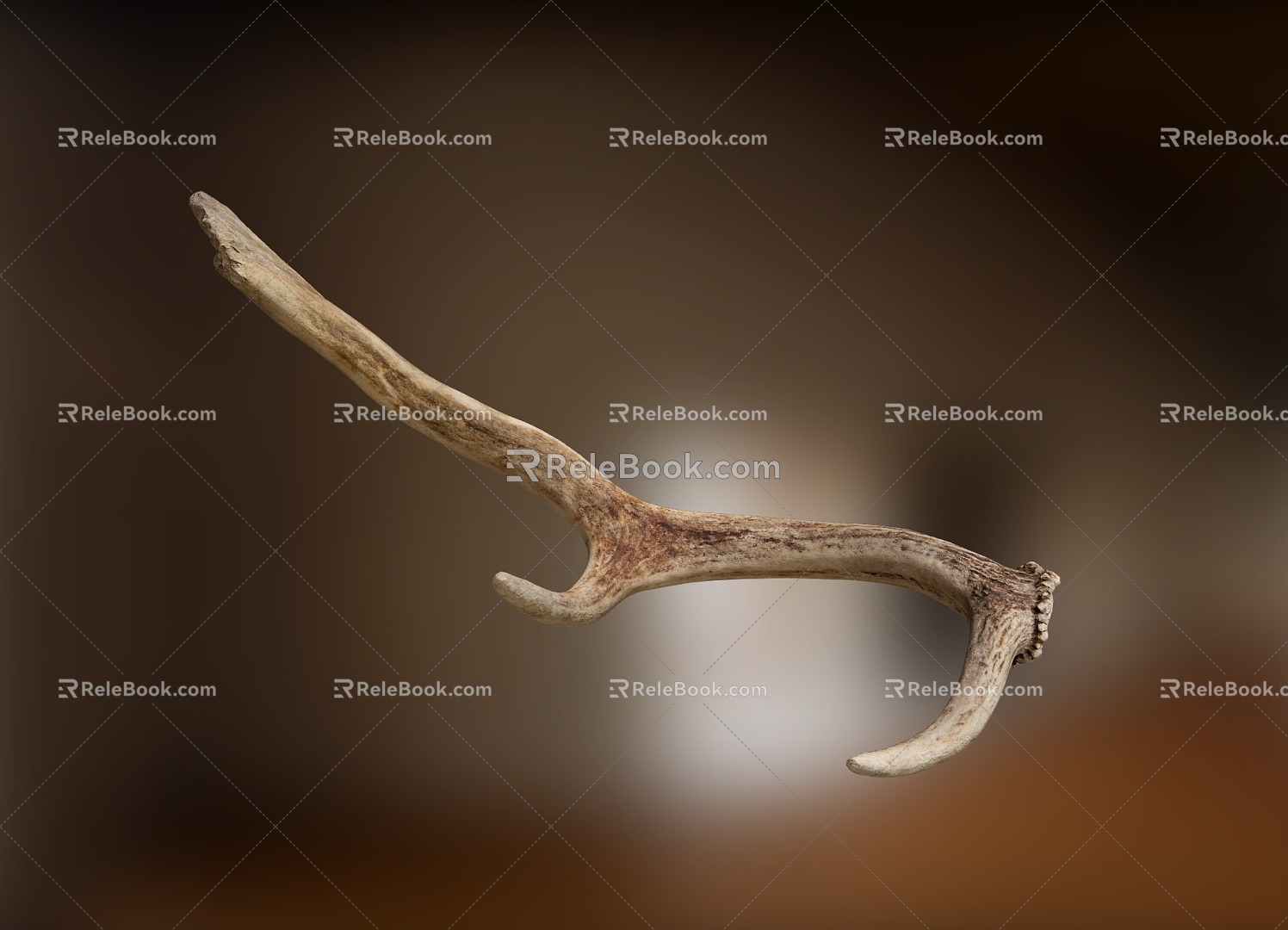 Modern antlers 3d model