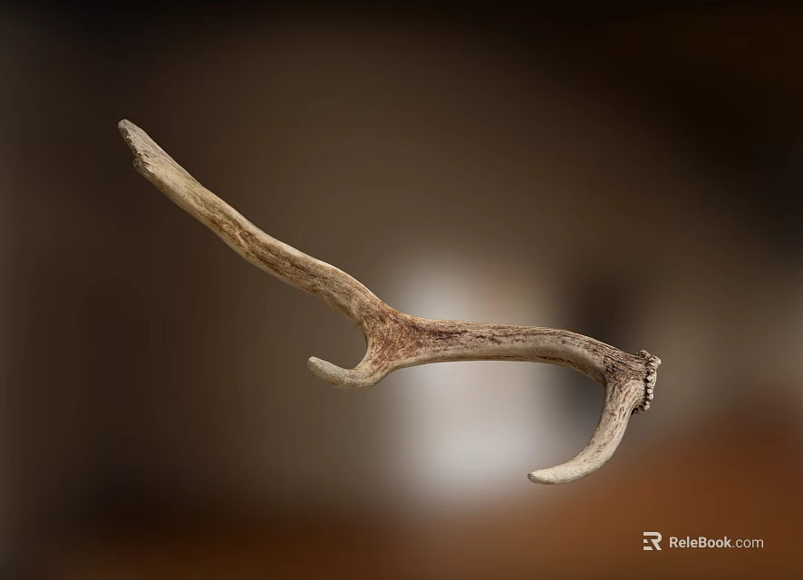 Natural Deer Antler Rustic Animal Wall Decor for Home Interior 3d model 