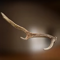 Natural Deer Antler Rustic Animal Wall Decor for Home Interior 3d model