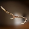 Modern antlers 3d model