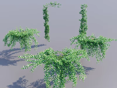 Lush Green Hanging Basket Plants With Trailing Vines And Shadow Effects 3d model
