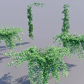 Lush Green Hanging Basket Plants With Trailing Vines And Shadow Effects