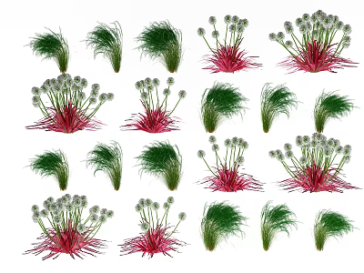 Clustered Green Grass And Red Stem Plants With White Small Flowers Arranged Neatly 3d model