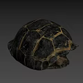 Close Up View Of Dark Turtle Shell With Yellow Patterned Texture 3d model