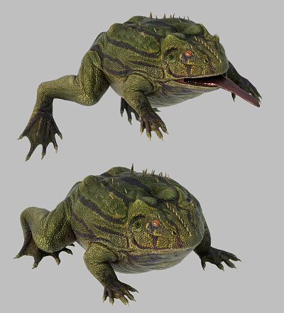 modern toad frog animal toad 3d model