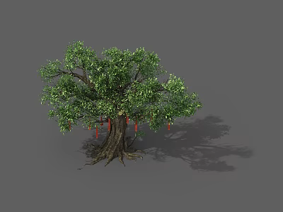 Lush Green Leafy Tree With Thick Trunk Visible Roots And Red Hanging Fruits 3d model