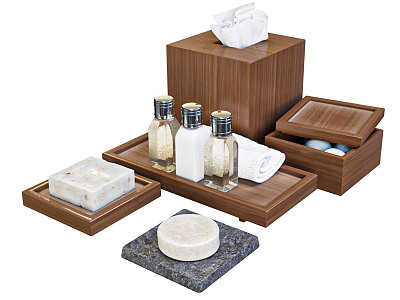 Modern Toiletries Supplies model