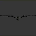 Gray Mythical Dragon Soaring With Large Wings Slender Body On Dark Background 3d model