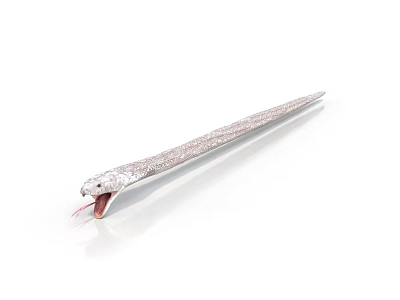 Silver Snake With Open Mouth Red Tongue And Long Slender Body On White Background 3d model