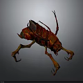 Red And Orange Insect With Chitinous Exoskeleton Long Legs And Textured Wings